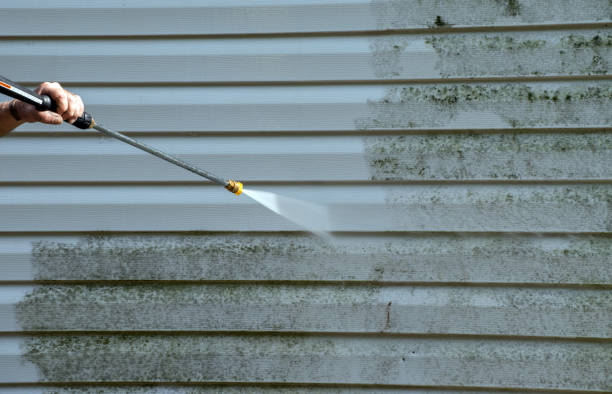 Best Sidewalk and Walkway Cleaning  in Elwood, UT